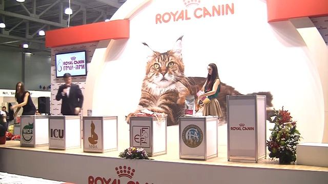 Гран-При Роял Канин 2013 Финал раздача подарков. смотреть онлайн