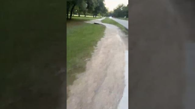 Early retirement boomer park walk смотреть онлайн