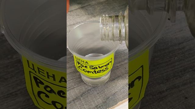 💧Укореняем Герань в воде смотреть онлайн