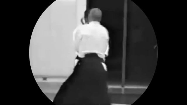 Aikikai's Kazuo Chiba Sensei Demonstrates Harsh Techniques