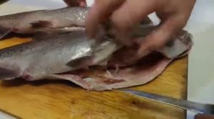 Форель магазин Светофор как выбрать рыбу с икрой .