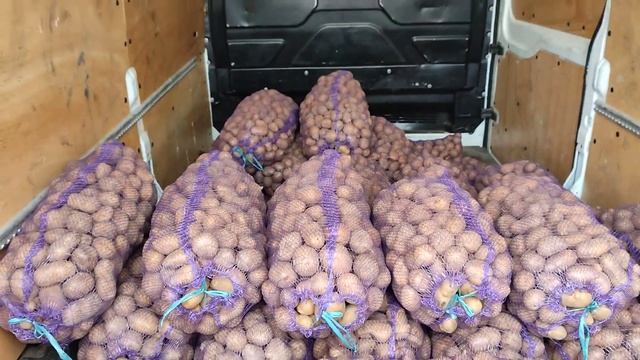 Ціни сьогодні Ринок Великі Копані 10 січня. смотреть онлайн