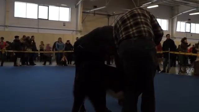 Выставка 25.01.2015 смотреть онлайн