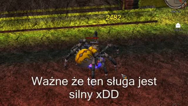 Metin2 Fasdes Vs Królowa Pająków смотреть онлайн