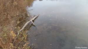 Оставил ЖЕРЛИЦЫ на день! Ловля ЩУКИ НА БУТЫЛКУ!