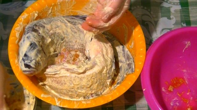 Зоология для Всех