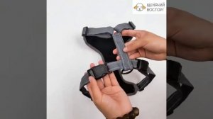 Анатомическая шлейка для собаки Щенячий восторг