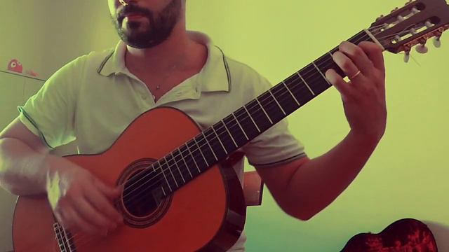 IL Tempo Se Ne Va by Celentano- Guitar Cover- Michele Santoro смотреть онлайн