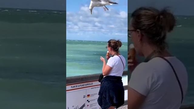 Охота за мороженкой? смотреть онлайн