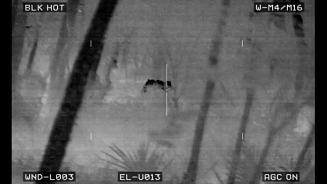 Thermal Hog and Predator Hunting | 50 Hogs and 9 Coyotes Down смотреть онлайн