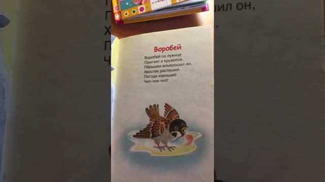 Воробей/Стихотворение Агнии Барто смотреть онлайн
