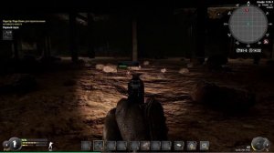 Will To Live Online как заработать деньги и опыт  гайд от новичка .