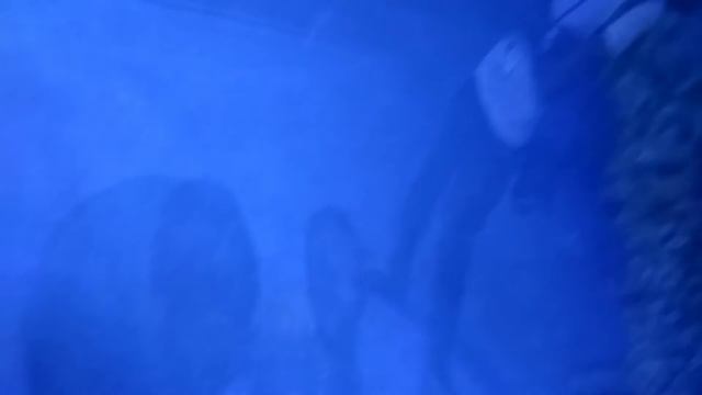 Hurghada Grand Aquarium / ЕГИПЕТ - Гранд аквариум, популярный аквариум в Хургаде. смотреть онлайн