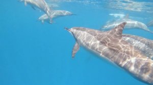 ⁴ᴷ Самый райский остров на планете | Маврикий и все его главные достопримечательности | Mauritius ?