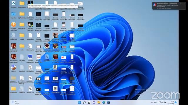 Zoom Meeting Python Four смотреть онлайн