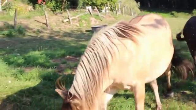 Pré VS Box : EST-CE UNE QUESTION DE POINT DE VUE ? [ Réflexion ] смотреть онлайн