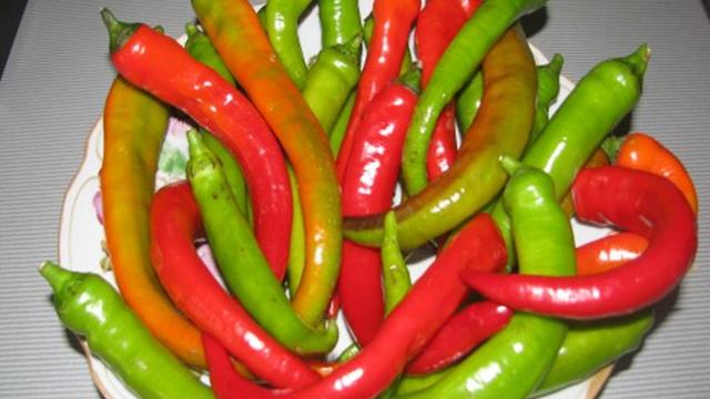 1000 и 1 рецепт