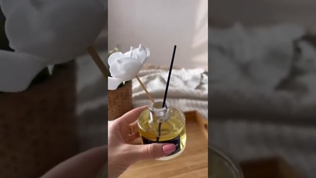 Ароматизатор диффузор для дома с палочками Sandokkaebi с ароматом тропического манго и жасмина смотреть онлайн