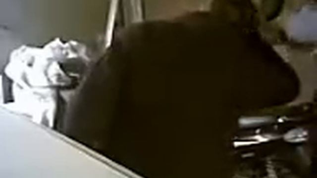 Смешной дед смотреть онлайн