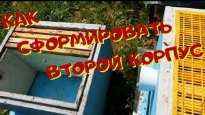 Расширение гнезда вторым корпусом. - Наращивание силы пчелиной семьи.