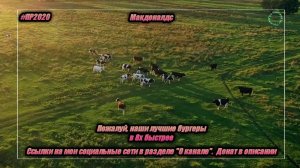 Макдоналдс — «Пожалуй, наши лучшие бургеры» в 8х быстрее | PRO Рекламу