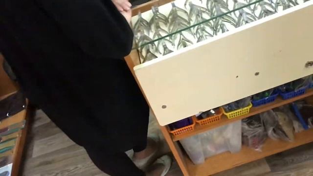Парикмахерские ножницы. Переделка??♀️ Были: для прямого среза ✂️ Стали: для скользящего смотреть онлайн