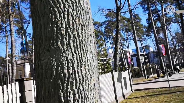 Роскошный центр Юрмалы.