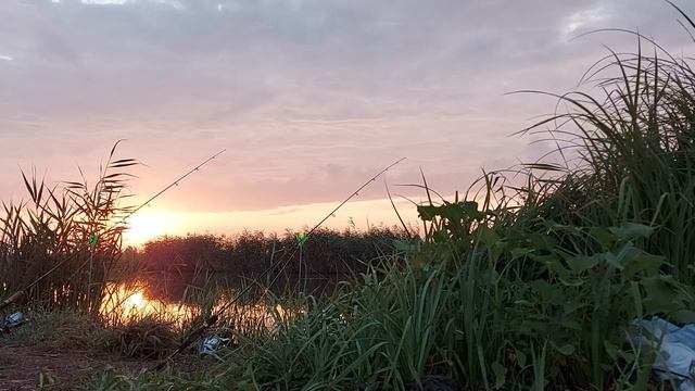 Рыбалка на рассвете. Река Миус, Ростовская область, Неклиновский район. смотреть онлайн