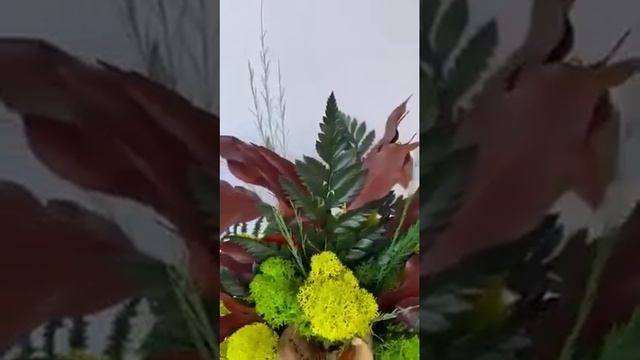 Driftwood pot with ferns and Scandinavian moss, смотреть онлайн