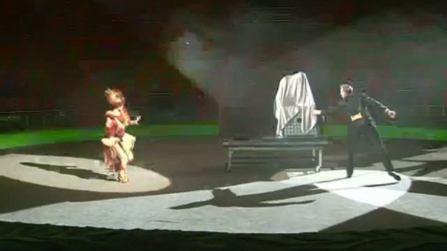 Цирк Сафари с иллюзией в Ярославле смотреть онлайн