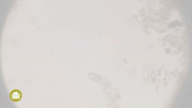 Termofilní kompost - Praktické informace смотреть онлайн