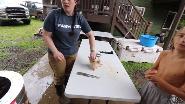 Hawaii Off-Grid Chicken Harvest - Put Together a Chicken Plucker, Catch Chickens and Butcher Them смотреть онлайн