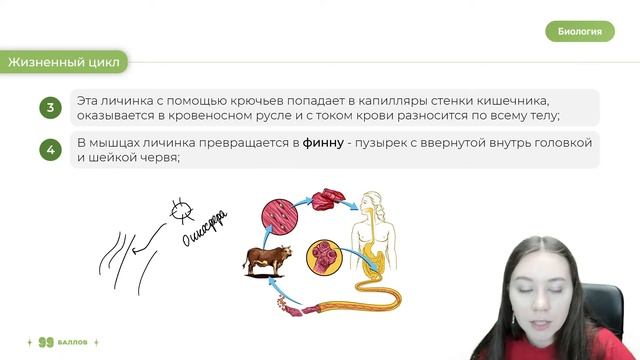ЖИЗНЕННЫЕ ЦИКЛЫ ПАРАЗИТИЧЕСКИХ ЧЕРВЕЙ | БИОЛОГИЯ ЕГЭ 2023 | 99 БАЛЛОВ смотреть онлайн