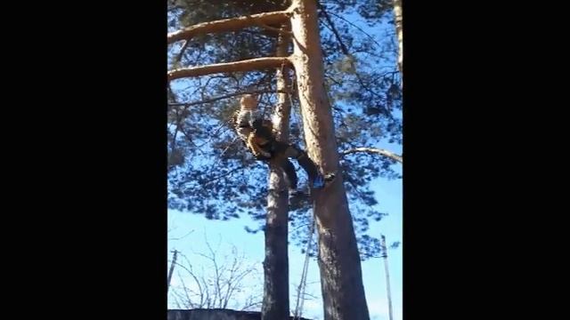 спасли кота смотреть онлайн