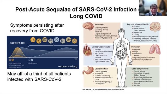 SARS-CoV-2 Infection: Findings from Autopsy Studies смотреть онлайн