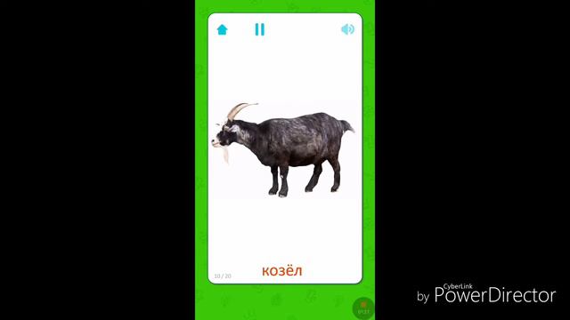 Звуки животных смотреть онлайн