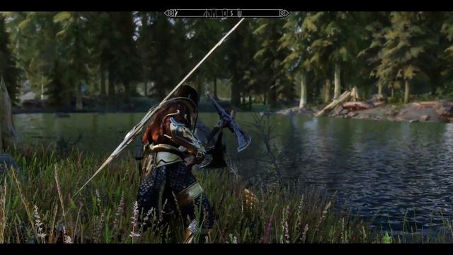 Skyrim Dual Axe Combat-Non Combat Idle смотреть онлайн