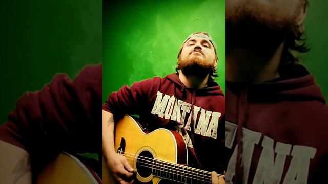 Tyler Childers - Shake the Frost Cover by Joe Gibson смотреть онлайн