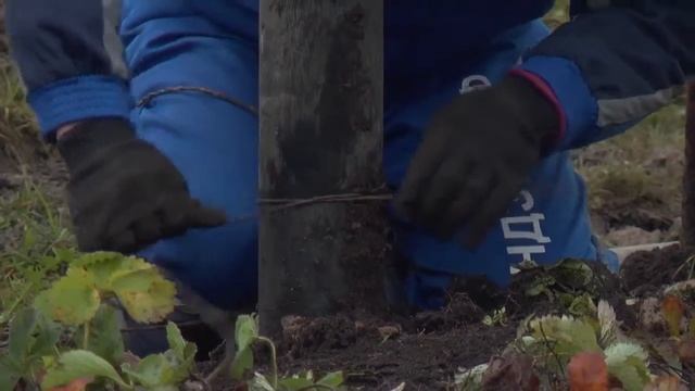 фундамент под баню смотреть онлайн