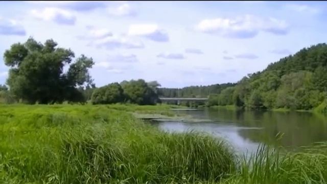 Александр Шилков. Эльвира Мадиган (В.-А. Моцарт). смотреть онлайн