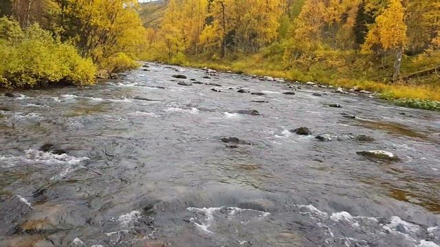 Горная река. Подъем на СВП. смотреть онлайн