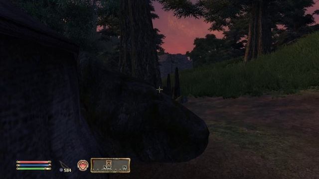 The Elder Scrolls IV: Oblivion - Part 54