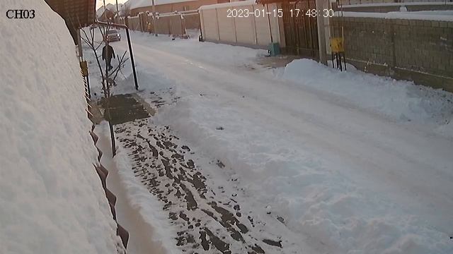 в Казахстане открыто разрешён выгул собак! смотреть онлайн