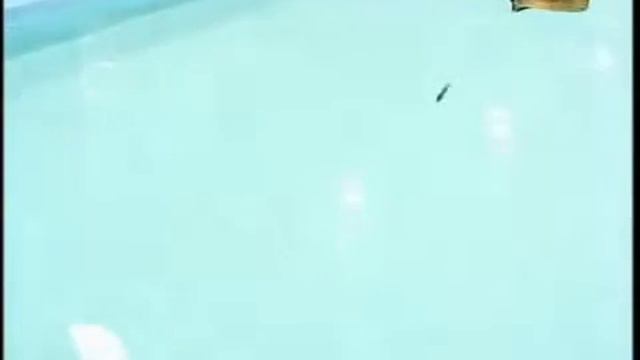 ☢ Воблеры Стикслим и стикфлат смотреть онлайн