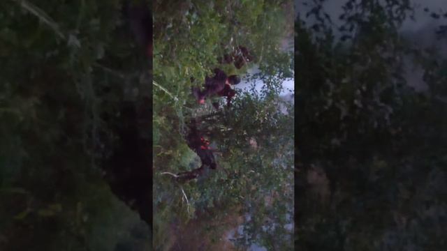 сагадинцы против пожара в Хвайни..