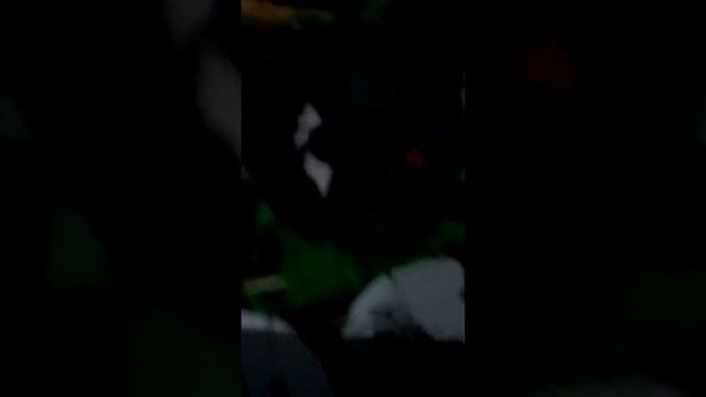 mostrando la colección de vuela chapas de Batman última parte смотреть онлайн