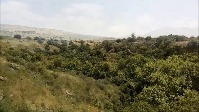 Э.Асадов. "Я могу тебя очень ждать" смотреть онлайн