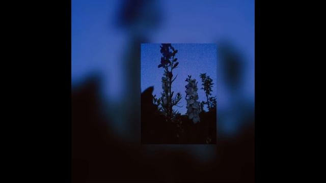 Дыши (slowed And Reverb)