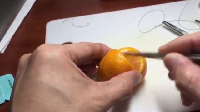 Quick Overview: Cow Heart Dissection and Suturing смотреть онлайн