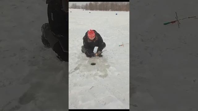 Рыбка ловится🎣РК «Чайка» 6.12.2023 смотреть онлайн